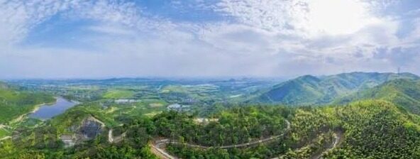 大象传媒 米欧-探索米欧与大象传媒的创意融合，构建文化传播的新篇章