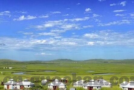该看糖心vlog了-甜蜜瞬间，探索糖心Vlog的魅力