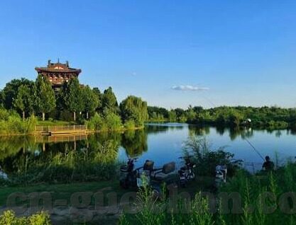 麻豆传媒91app-探索成人娱乐平台的圣殿，麻豆传媒91app的迷思与红海