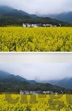 麻豆传媒app在线下载-破冰之作，揭开麻豆传媒App一键下载之谜