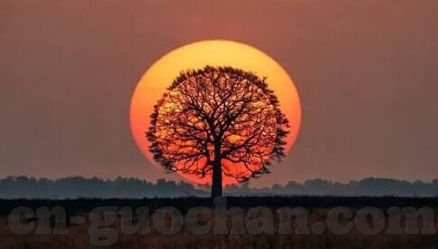 麻豆传媒合集-麻豆传媒合集，那些无法复刻的瞬间