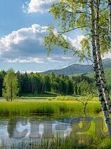 麻豆剧果冻传媒韩小雅-爱的交织，深入麻豆剧与果冻传媒——韩小雅的艺术探索