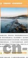 麻豆日记aPP下载苹果-麻豆日记APP下载苹果的探索之旅