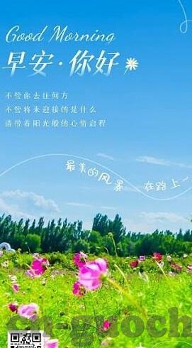 麻豆文化传媒-塑梦·蓉城，麻豆文化传媒的魅力织锦