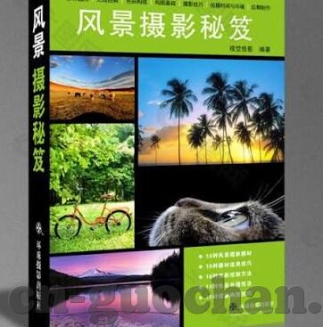 糖心app在线域名-理性观照网络，揭秘与界限