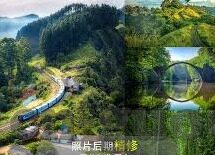 糖心短视频app-探秘糖心短视频App的魅力与影响