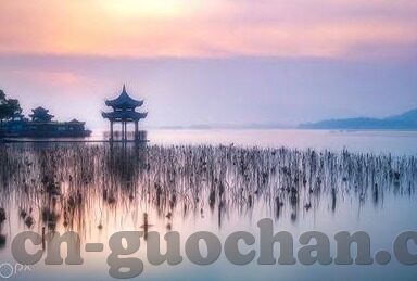 糖心vlog粉红情人-糖心vlog，穿越日常的粉红浪漫之旅