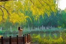 糖心直播app大全-糖心直播，多元娱乐，精彩无限