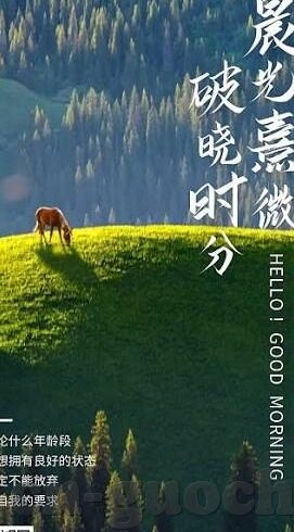 亚洲视频成人免费-亚洲视频成人免费，网络时代的伦理边界与个人选择